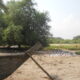 Lagoon shore with trash and fishing boat
